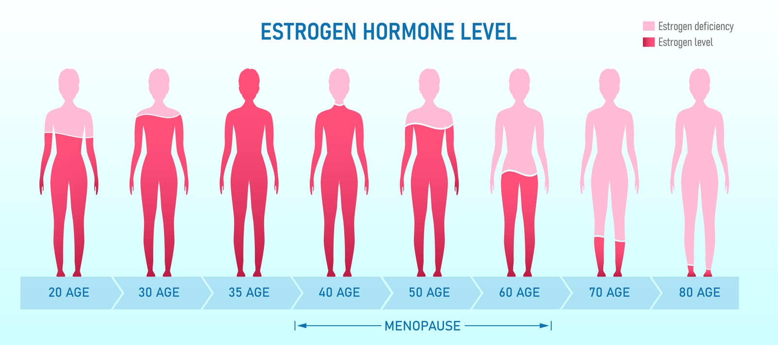 Menopause | An infographic showing the estrogen levels based on woman's age.